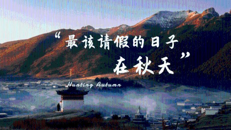 逃离世界杯的现场