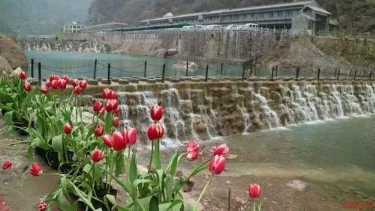 《我们的翻译官》林西当初为什么和肖一成分手?