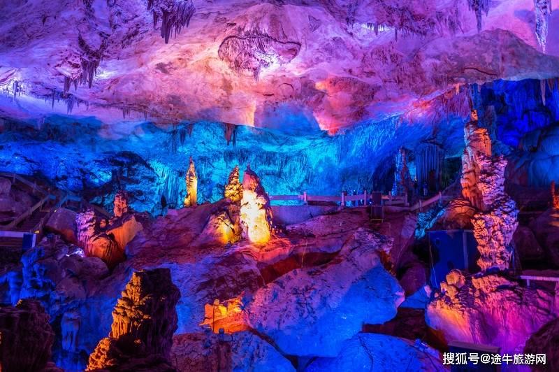 优质问答网站幸福树浇多了营养液黄叶了怎么办?,解答你的疑问
