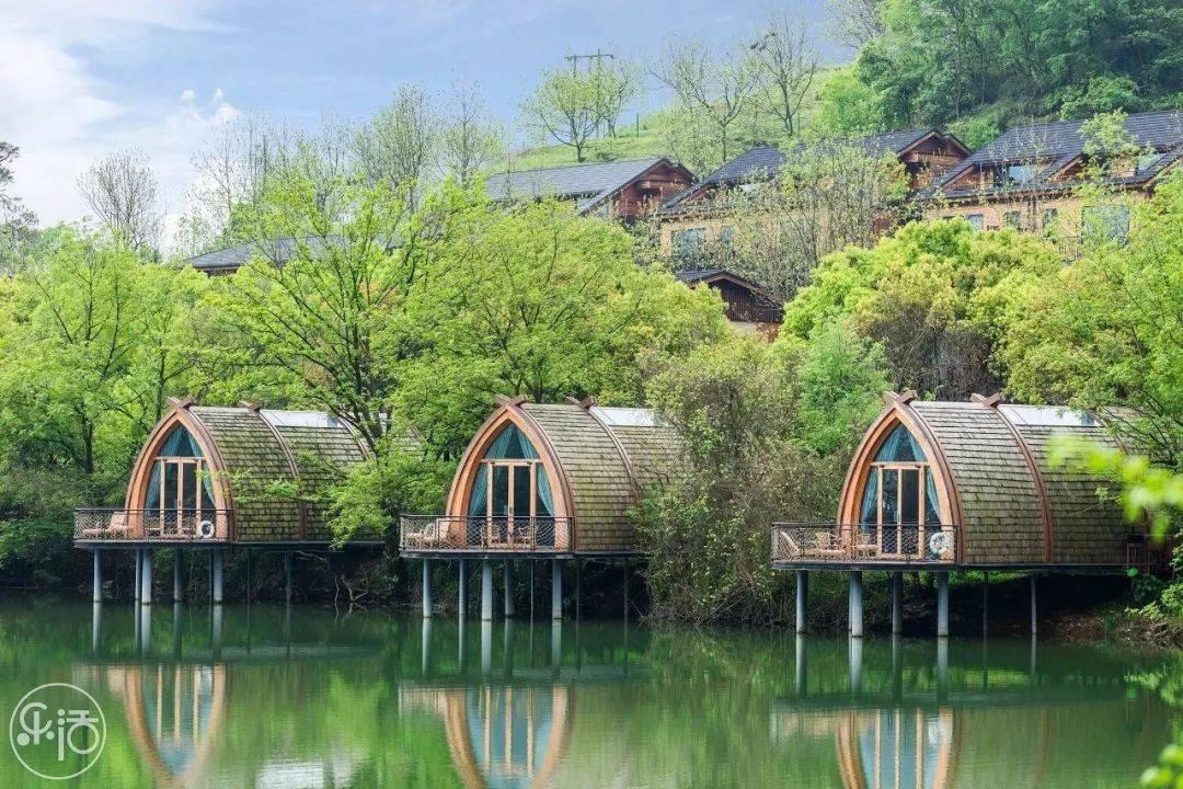 2024年春运三亚动车站预计发送旅客100万人次