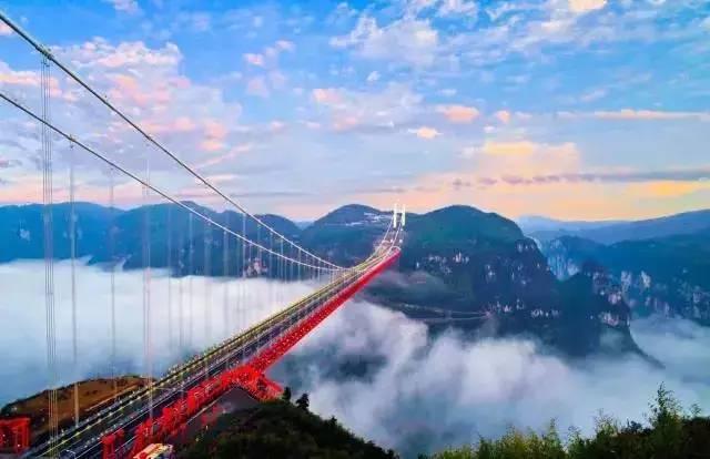 数读中国 | 税收大数据,透视高质量发展新亮点