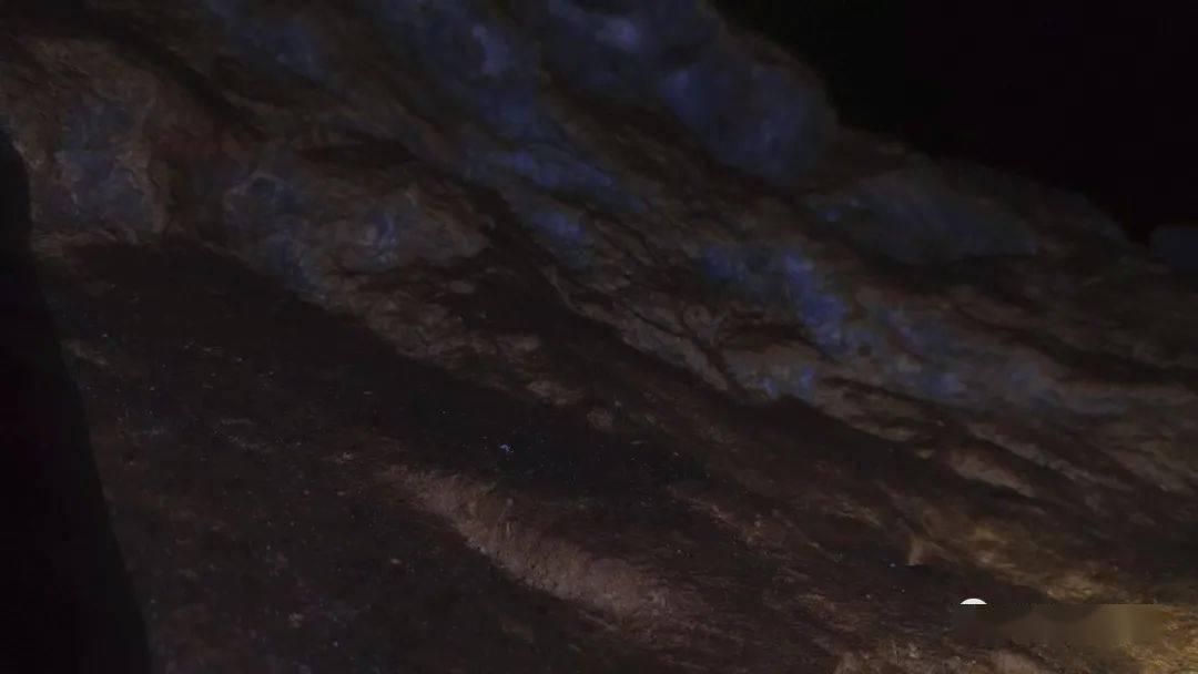 植物大战僵尸17