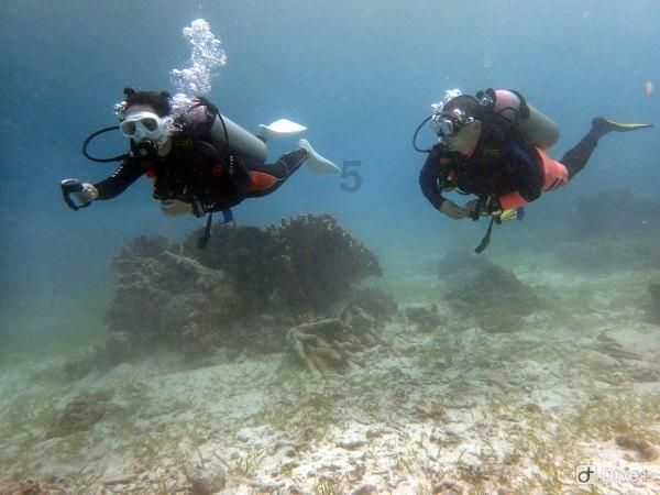 官方:安以恩、商隐、林隆昌等十名球员加盟辽宁沈阳城市
