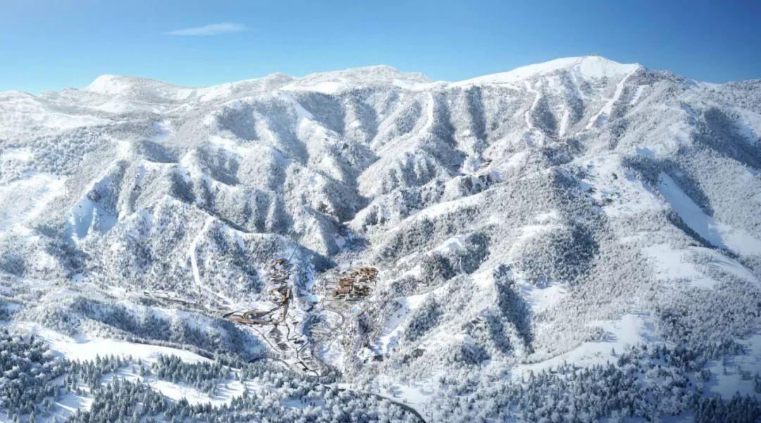 油爆大虾、菊花鱼、北京烤鸭……中国医疗队邀请当地“老朋友”