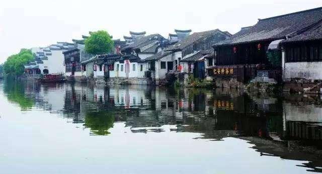 萌犬找不同