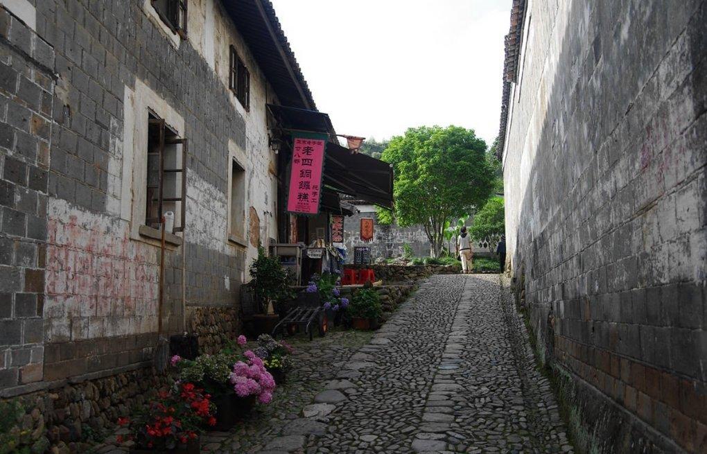 女主叫辛芷滢是个皇后后来被庶_害死又重生了是什么小说游戏画面