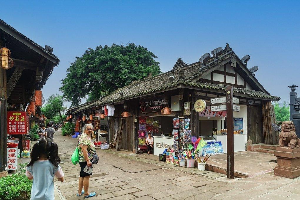 逃离荒废丛林屋