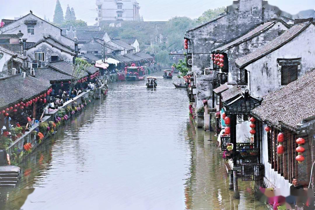 了不起的麦瑟尔夫人